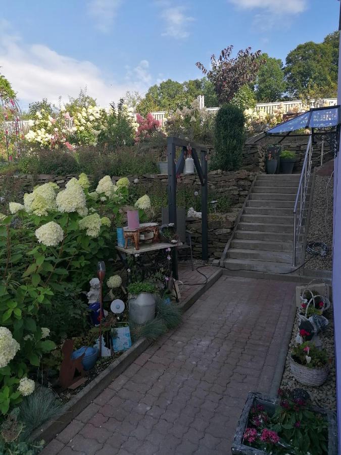 Im Erzgebirge Wandern, Fahrrad Fahren Oder Entspannen Ehrenfriedersdorf Extérieur photo