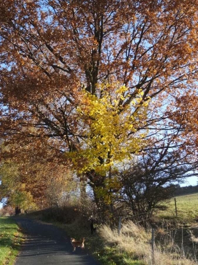 Im Erzgebirge Wandern, Fahrrad Fahren Oder Entspannen Ehrenfriedersdorf Extérieur photo